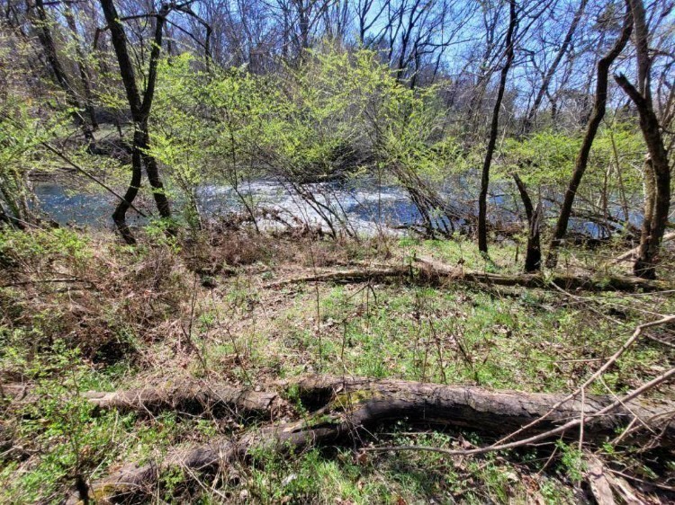 4218 Oswin Drive Murfreesboro, TN 37129 - Photo 37 of 40 a view of a garden with plants