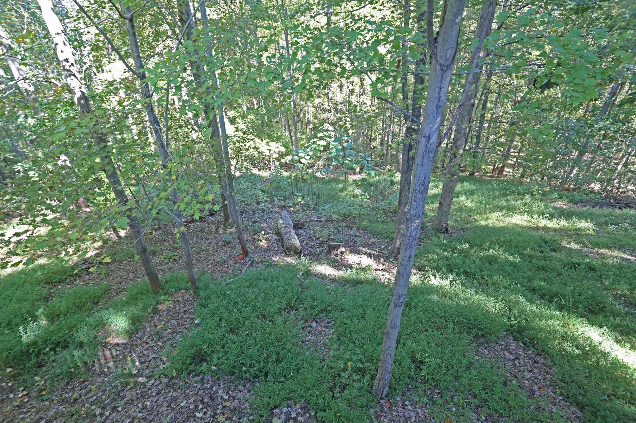375 Northridge Road Hardy, VA 24101 - Photo 6 of 66 northridge_1004