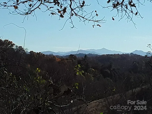 $696,500 | 2200 Walnut Creek Road, Marshall, NC 28753