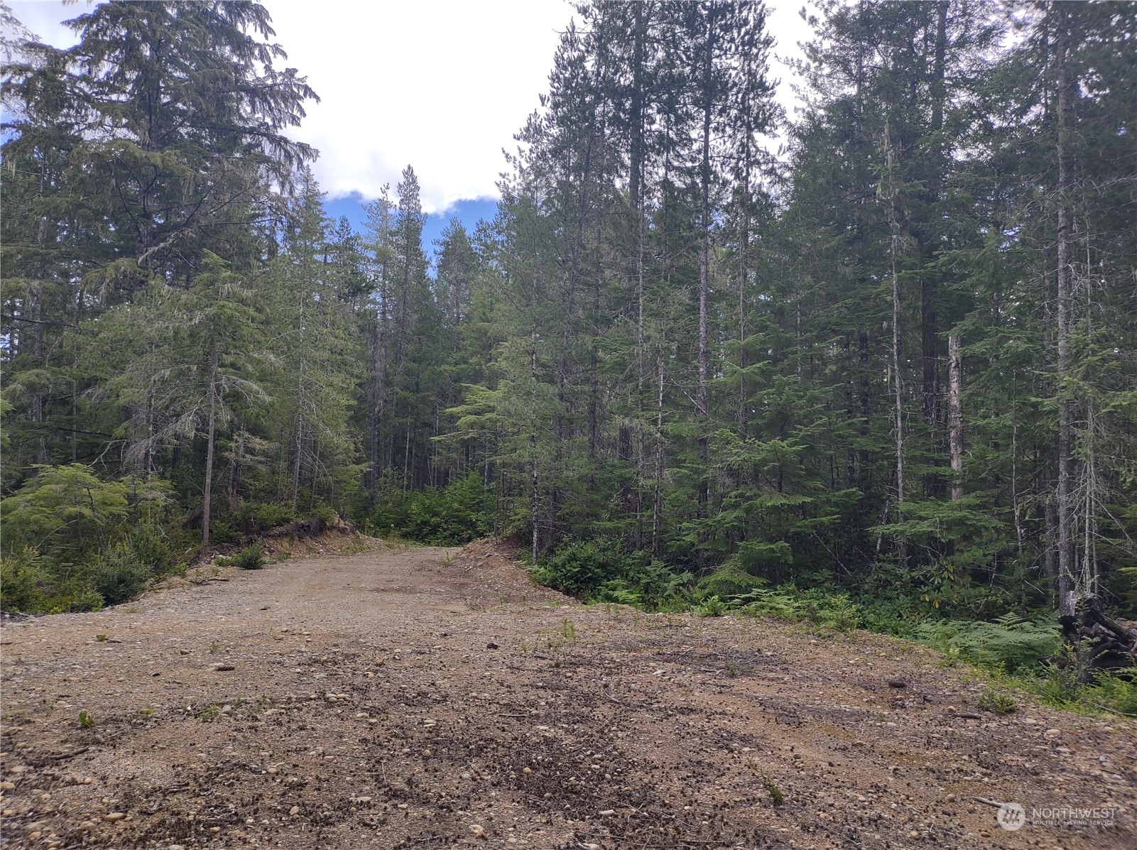 0 Northeast Bedrock Road Belfair, WA 98528 - Photo 1 of 4 Gallery Image 1