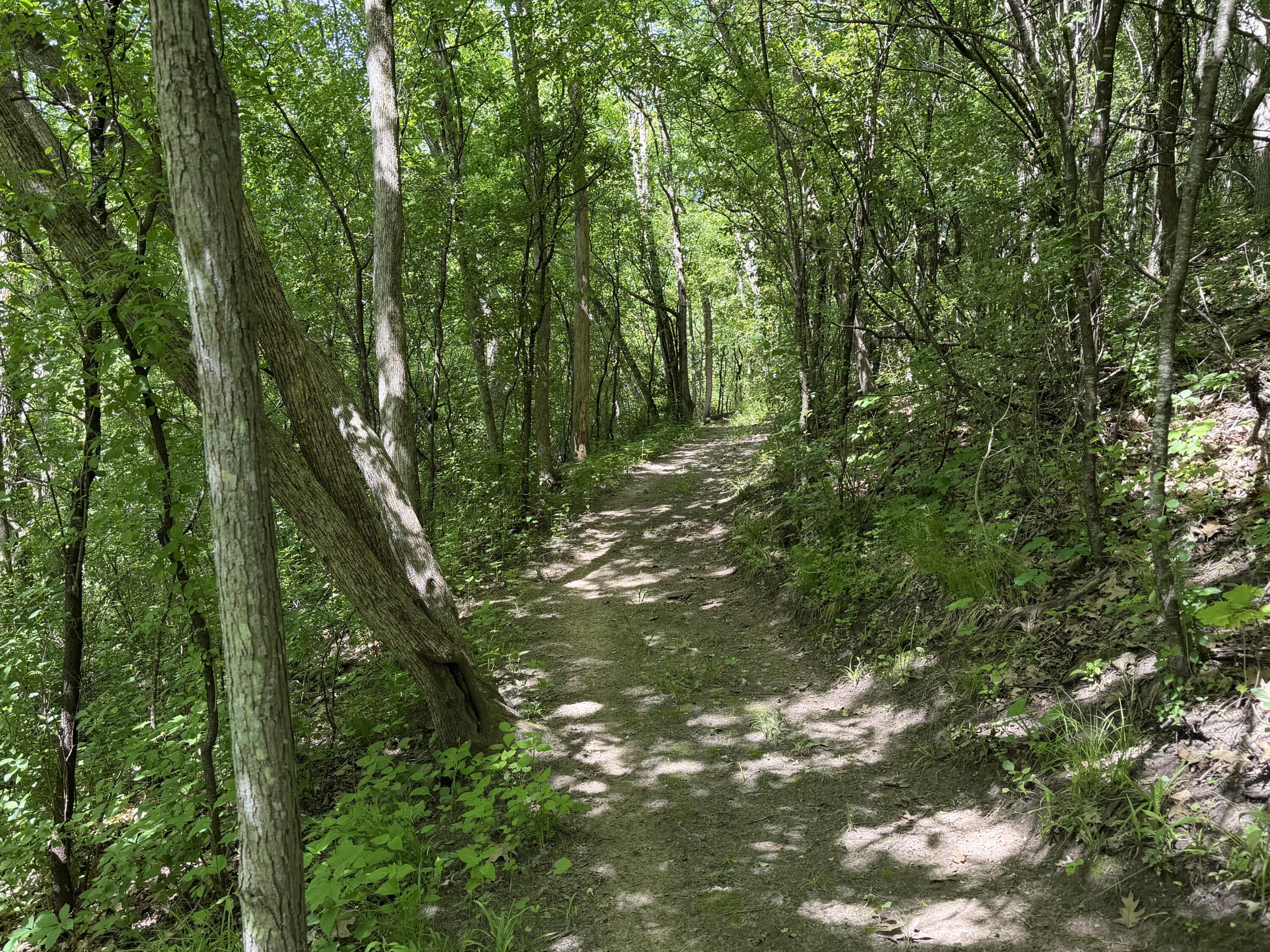 S7750 Carter Valley Lane Kickapoo, WI 54652 - Photo 28 of 54 20260529_160546729_iOS