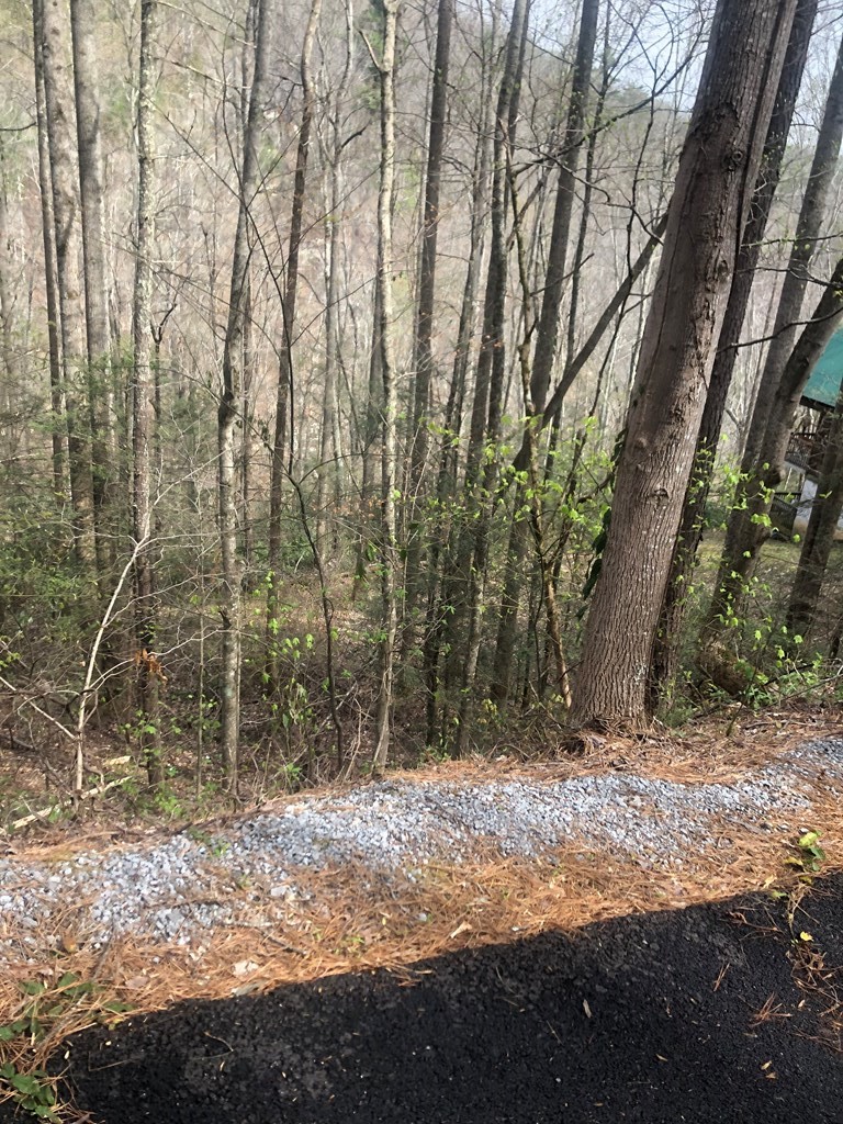 28 Wildcat Ridge Road Sevierville, TN 37862 - Photo 4 of 6