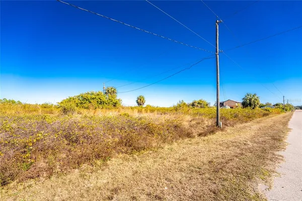 a view of a yard