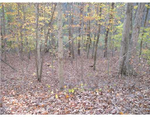 0 Stone Lick Road Gay, WV 25244 - Photo 8 of 8 Land.