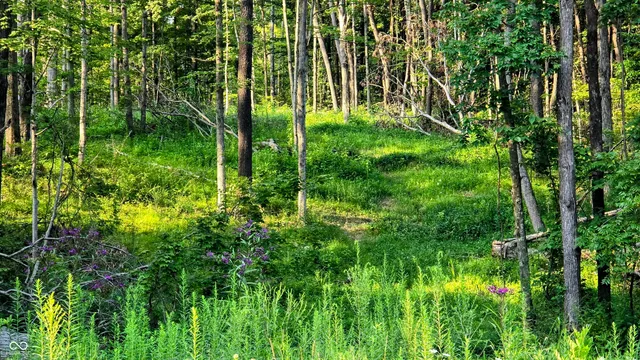 $349,680 | 0 West County Road 500 Tract 2 North, Osgood, IN 47023