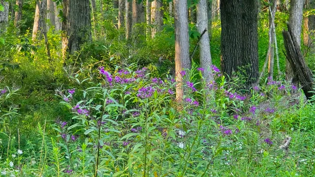 $349,680 | 0 West County Road 500 Tract 2 North, Osgood, IN 47023