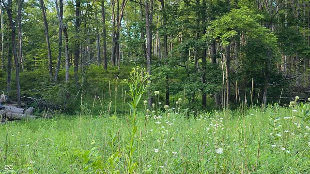 $349,680 | 0 West County Road 500 Tract 2 North, Osgood, IN 47023