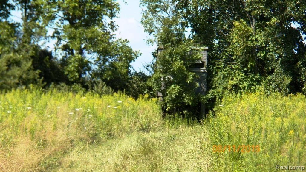 0 Cartwright Road Kingston, MI 48741 - Photo 3 of 14
