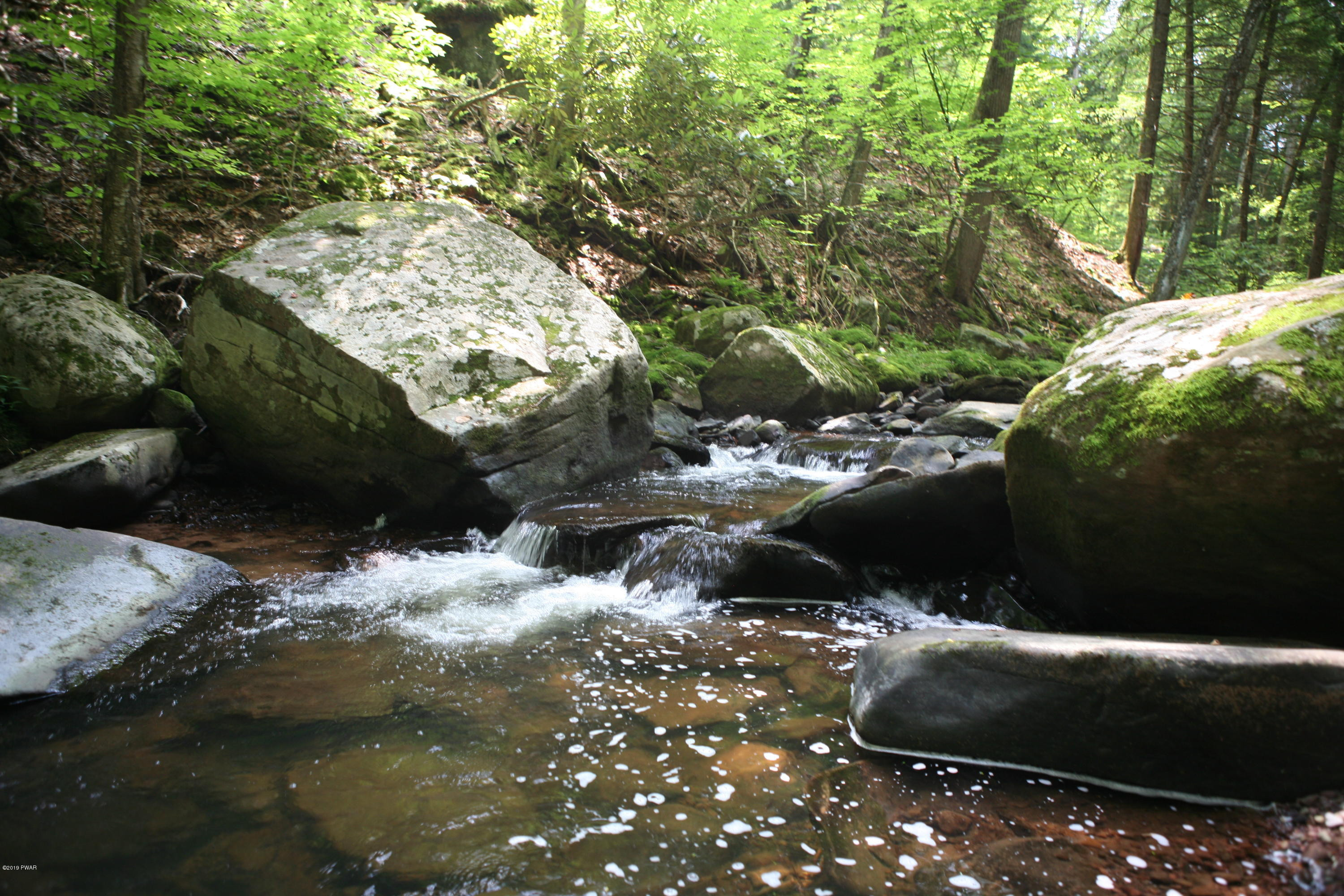 184 Paint Mine Road Damascus, PA 18415 - Photo 2 of 15