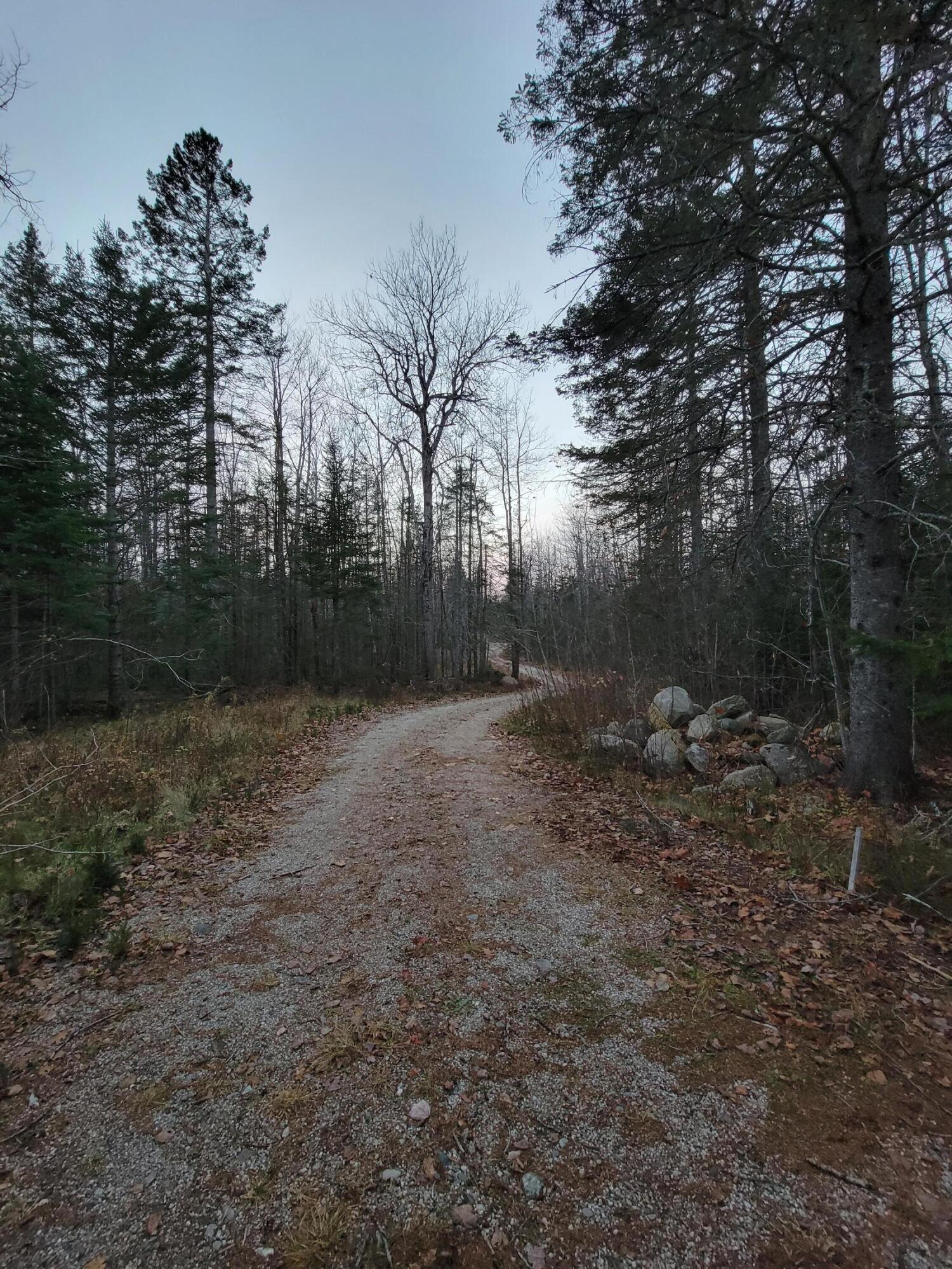 187 Morgan Bay Road Surry, ME 04684 - Photo 8 of 8 011