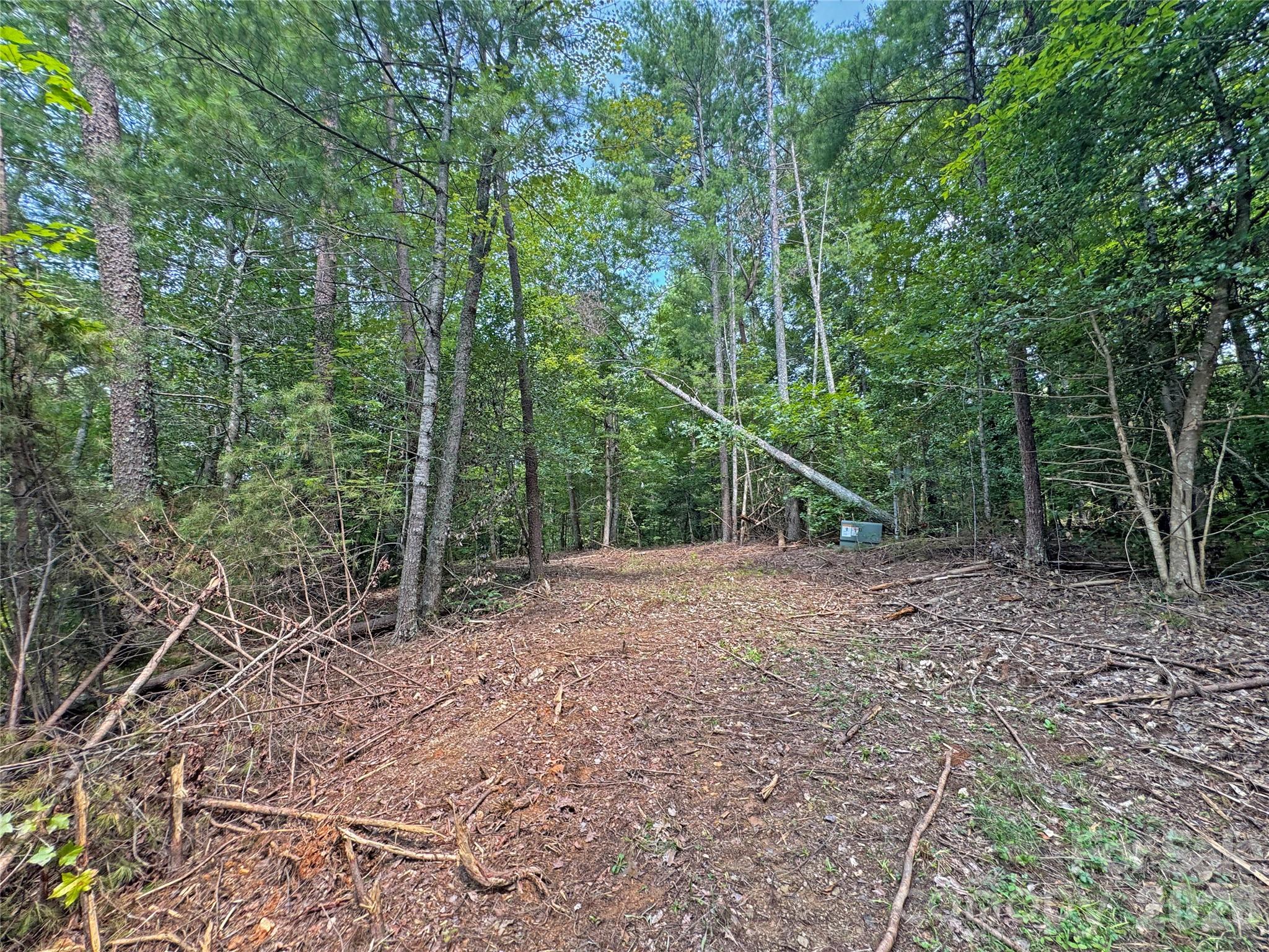 6080 River Road Hot Springs, NC 28743 - Photo 12 of 24 Gallery Image 12