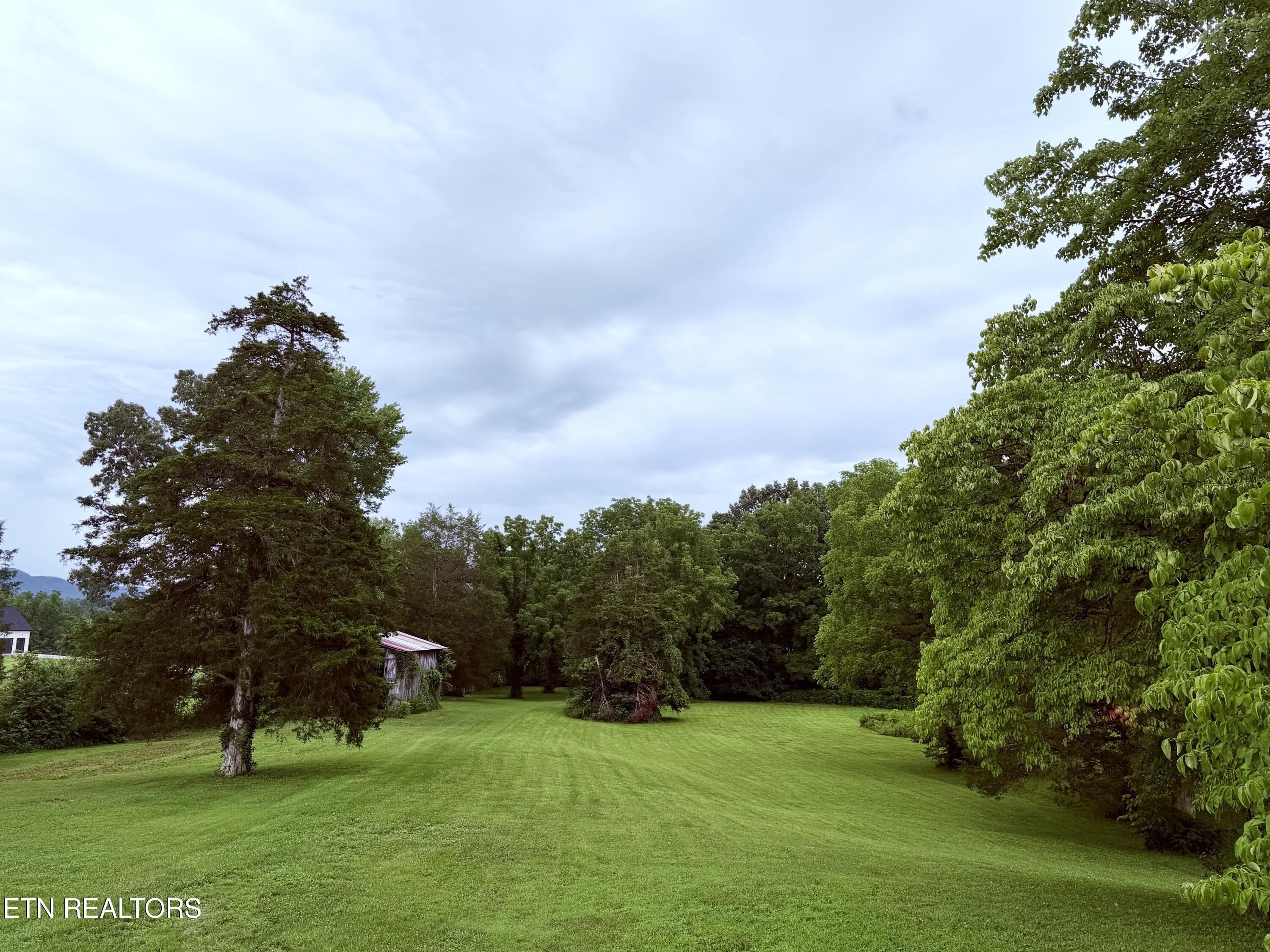 371 Pinecrest Road Jacksboro, TN 37757 - Photo 8 of 48 IMG_3296