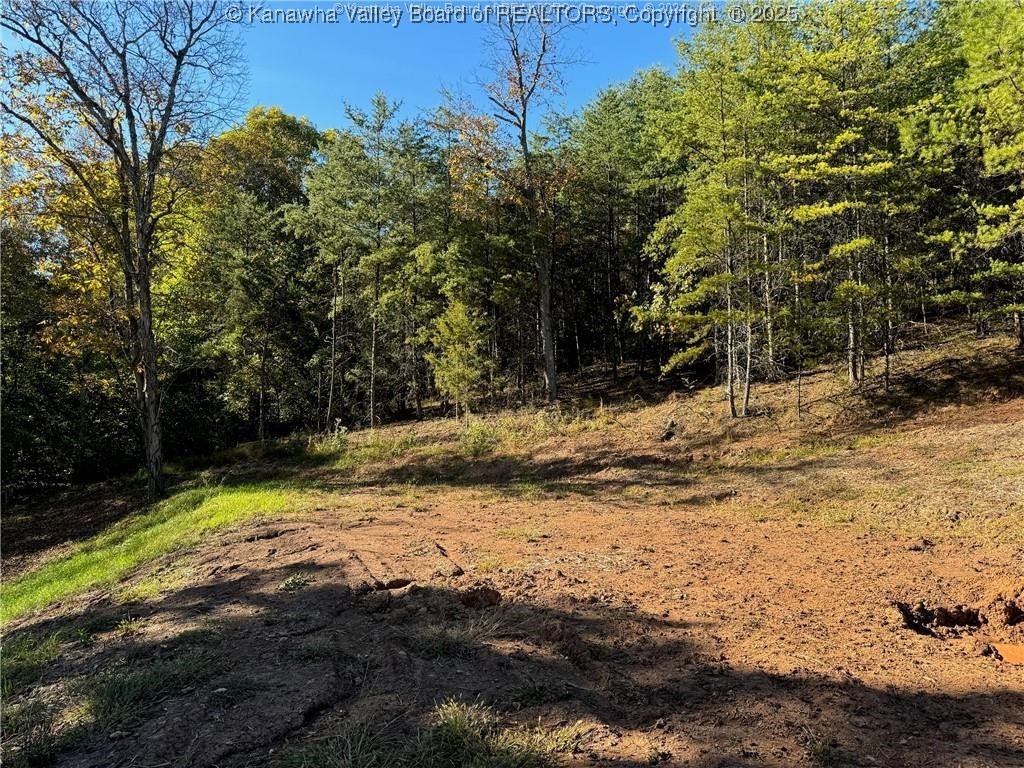 205 Ridgeview Drive Ripley, WV 25271 - Photo 10 of 15 Gallery Image 10