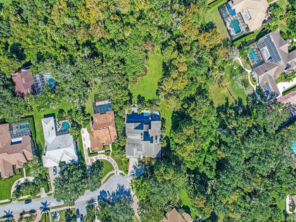1609 Hampton Court Safety Harbor, FL 34695 - Photo 11 of 78 an aerial view of a house with a yard and lake view