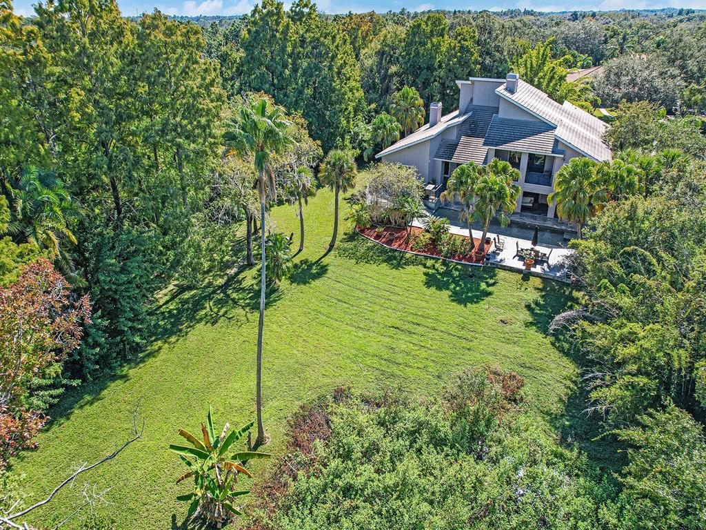 1609 Hampton Court Safety Harbor, FL 34695 - Photo 13 of 78 a view of a garden in front of house