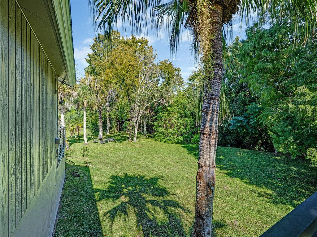 1609 Hampton Court Safety Harbor, FL 34695 - Photo 28 of 78 a view of a garden with a tree