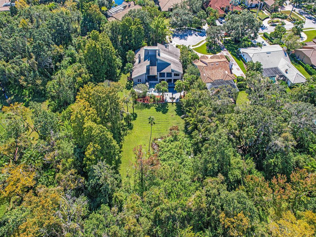 1609 Hampton Court Safety Harbor, FL 34695 - Photo 9 of 78 an aerial view of residential house with outdoor space and trees all around