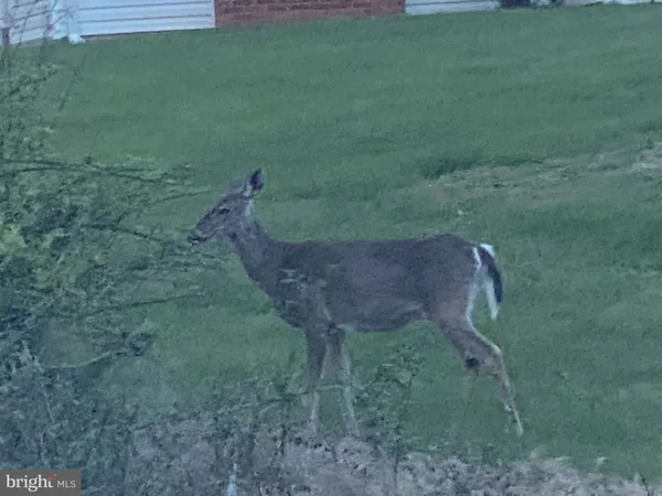 $3,500 | 24548 Lenah Road, Aldie, VA 20105