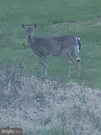 $3,500 | 24548 Lenah Road, Aldie, VA 20105