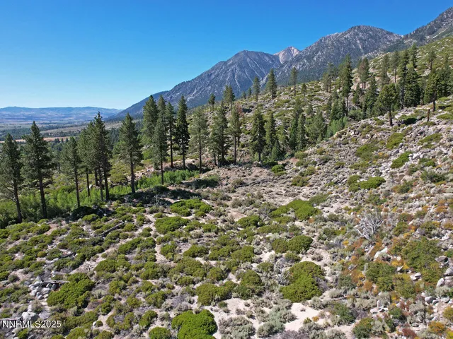 a view of a green field with mountains in the background