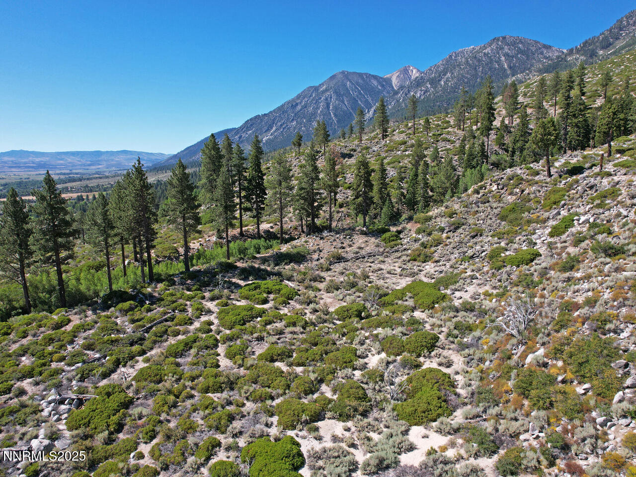 a view of a green field with mountains in the background
