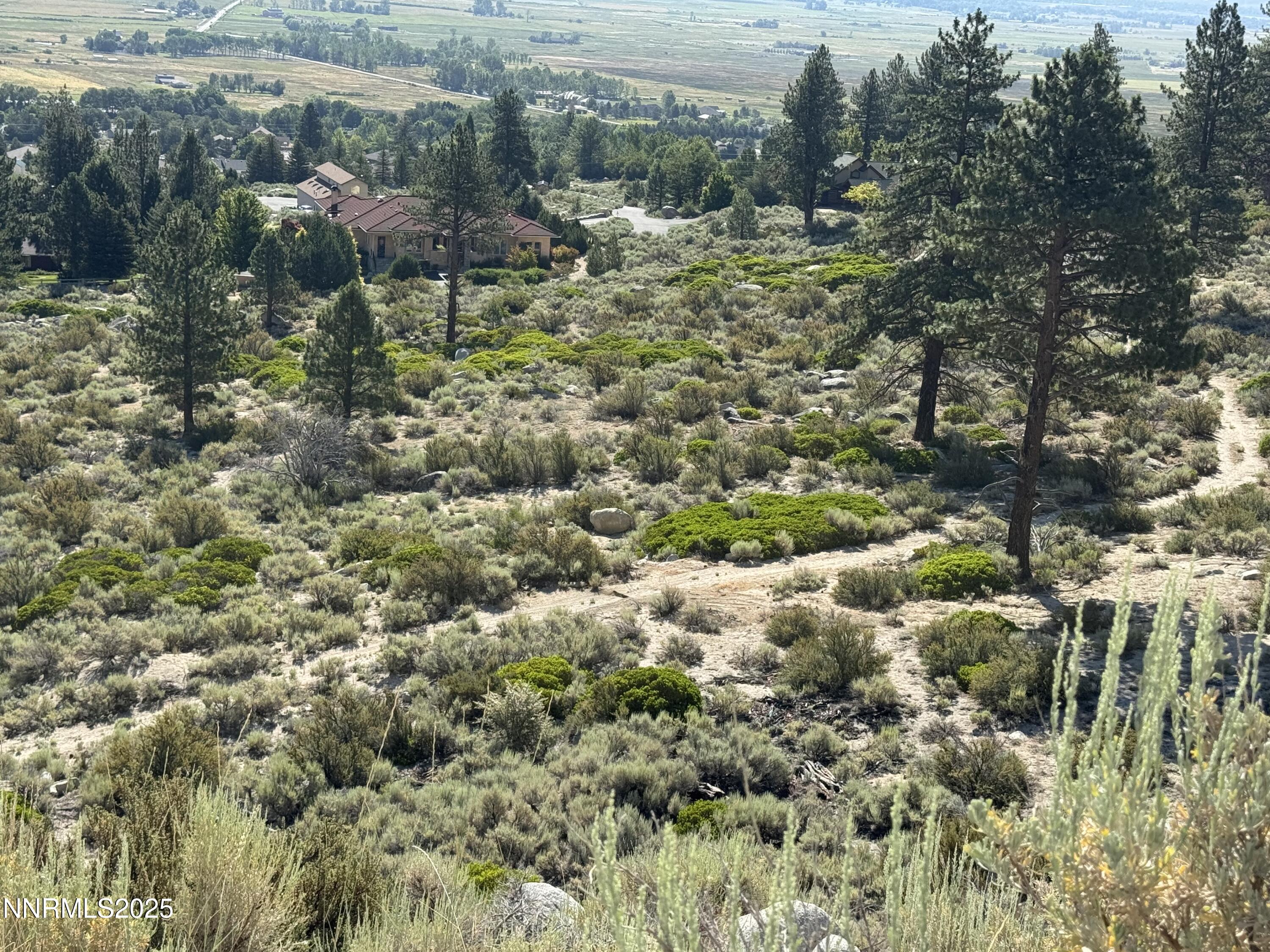 Tbd Tbd Kingsbury Grade Gardnerville, NV 89460 - Photo 11 of 31 a view of a forest that has a tree