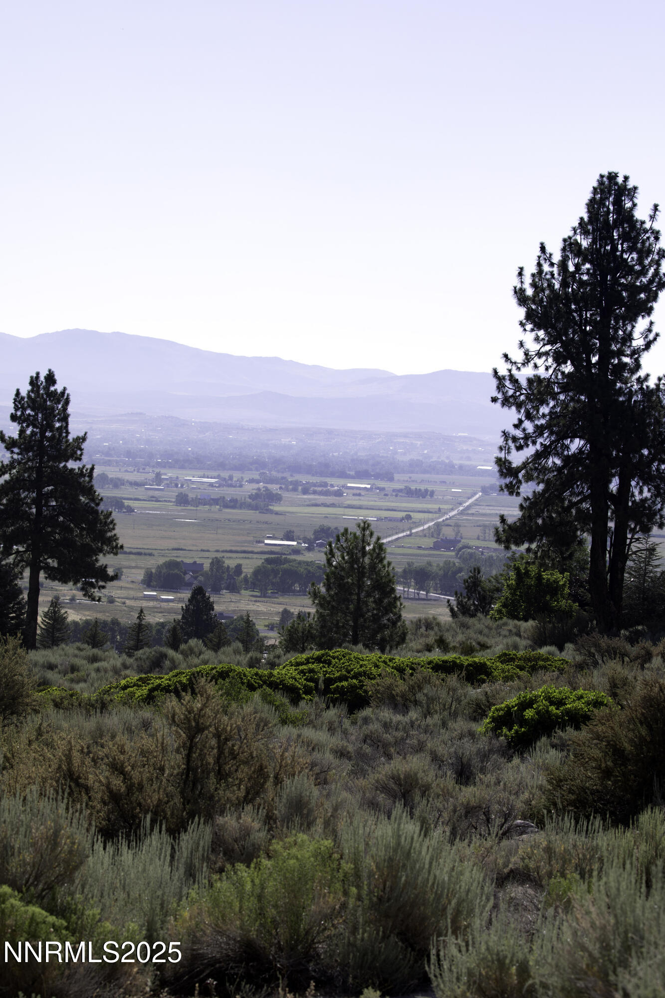 Tbd Tbd Kingsbury Grade Gardnerville, NV 89460 - Photo 12 of 31 a view of a field with a tree in a background