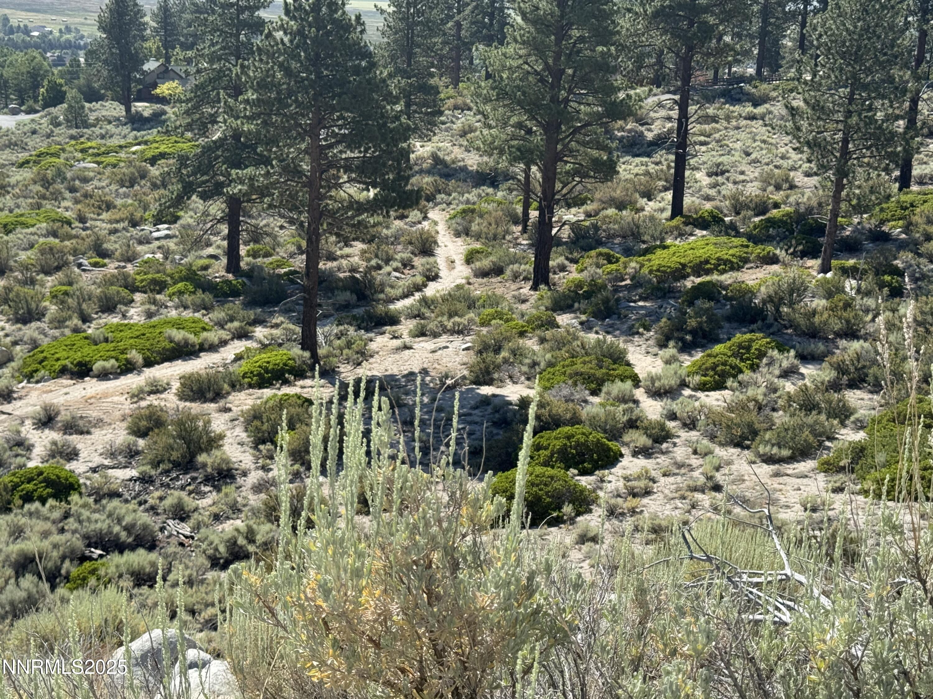 Tbd Tbd Kingsbury Grade Gardnerville, NV 89460 - Photo 16 of 31 a view of outdoor space and a yard