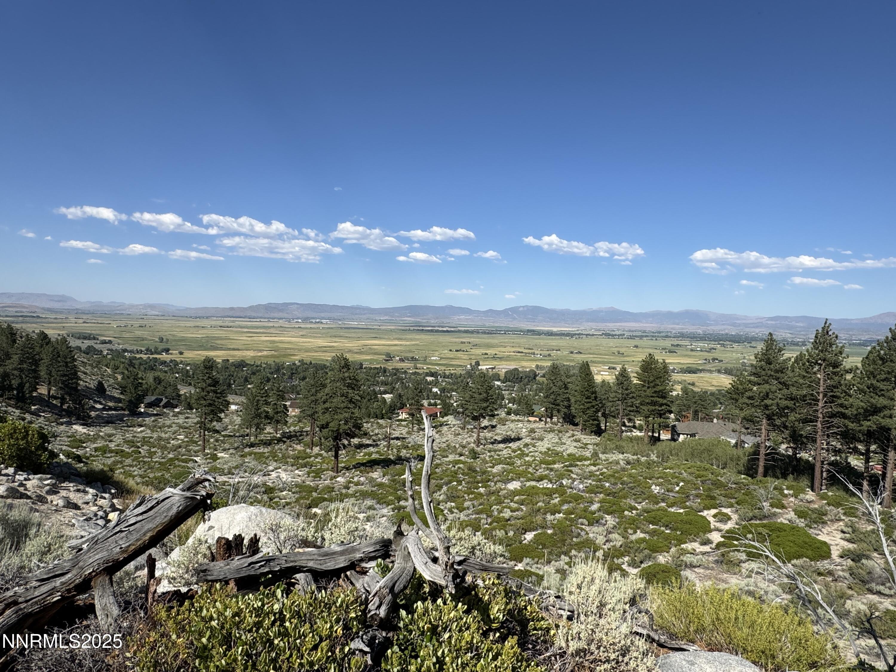 Tbd Tbd Kingsbury Grade Gardnerville, NV 89460 - Photo 19 of 31 a view of a city