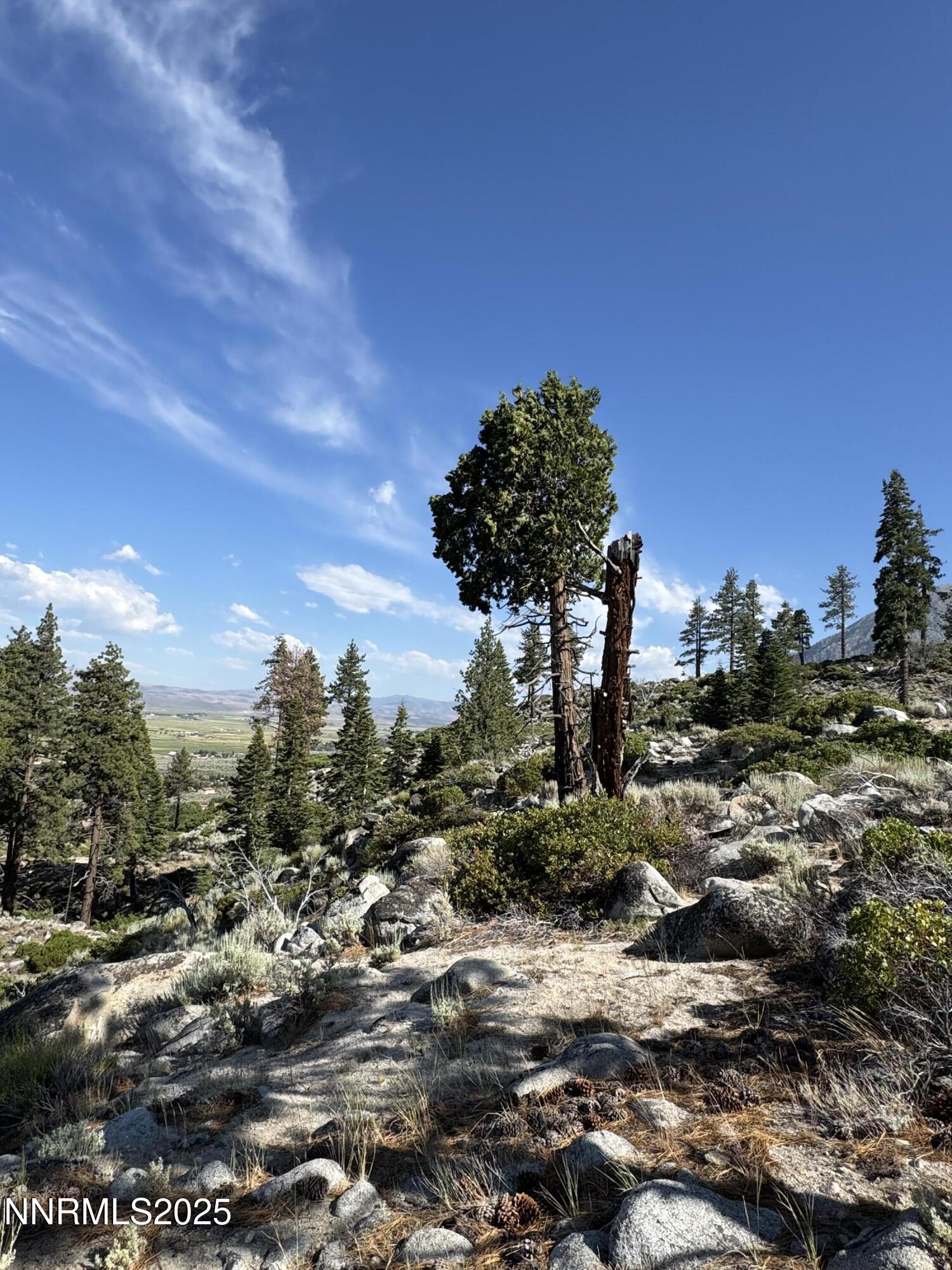 Tbd Tbd Kingsbury Grade Gardnerville, NV 89460 - Photo 20 of 31 a view of a houses with a street