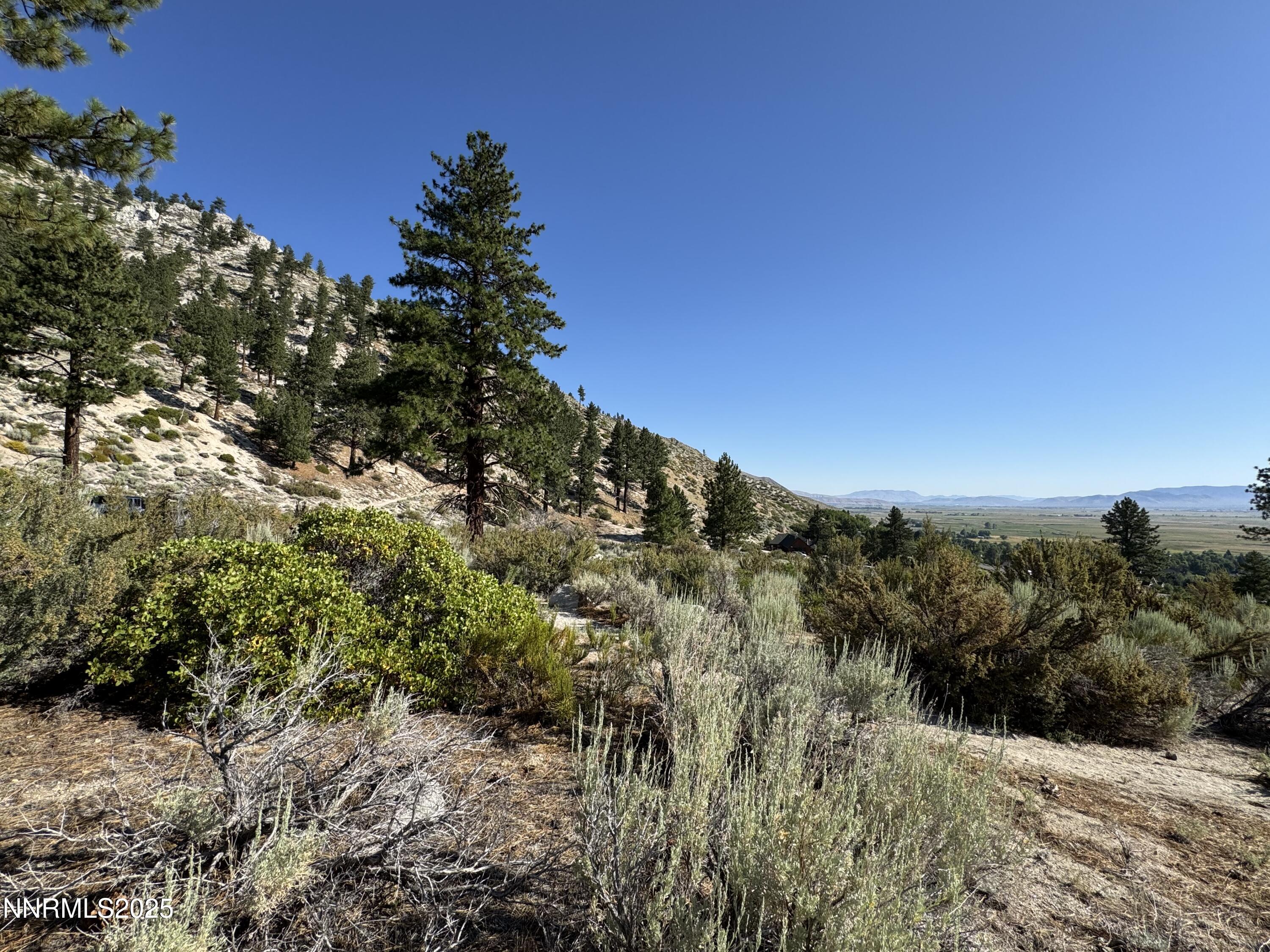 Tbd Tbd Kingsbury Grade Gardnerville, NV 89460 - Photo 22 of 31 a view of a houses of a yard