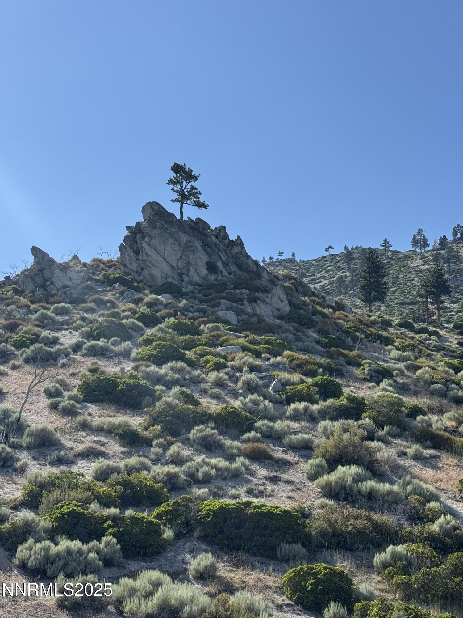 Tbd Tbd Kingsbury Grade Gardnerville, NV 89460 - Photo 24 of 31 a view of a field