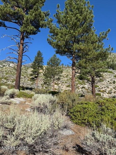 Tbd Tbd Kingsbury Grade Gardnerville, NV 89460 - Photo 30 of 31 a view of a yard