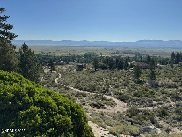 Tbd Tbd Kingsbury Grade Gardnerville, NV 89460 - Photo 8 of 31 a view of a dry yard with and trees