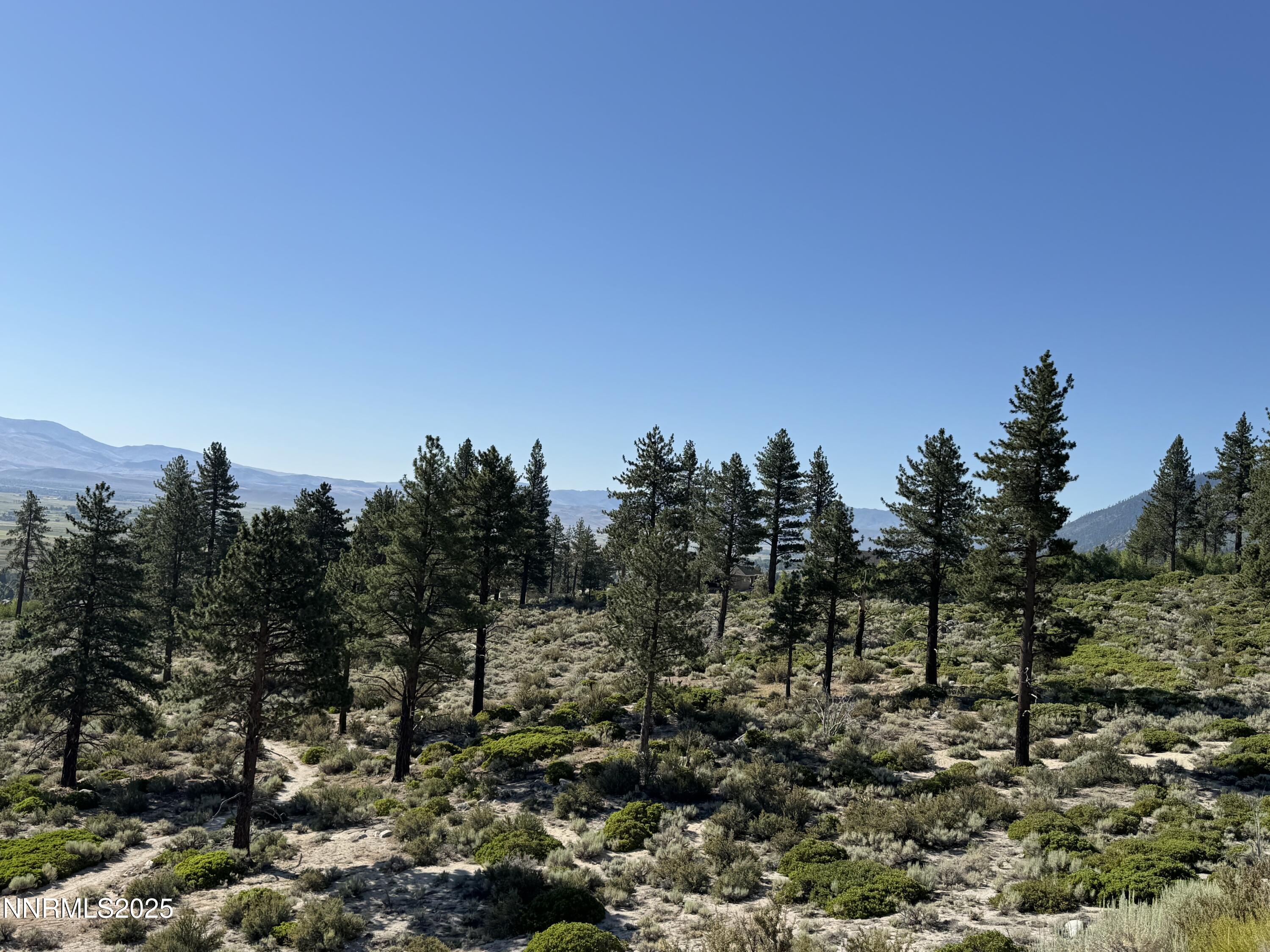 Tbd Tbd Kingsbury Grade Gardnerville, NV 89460 - Photo 9 of 31 a view of a city with lush green forest