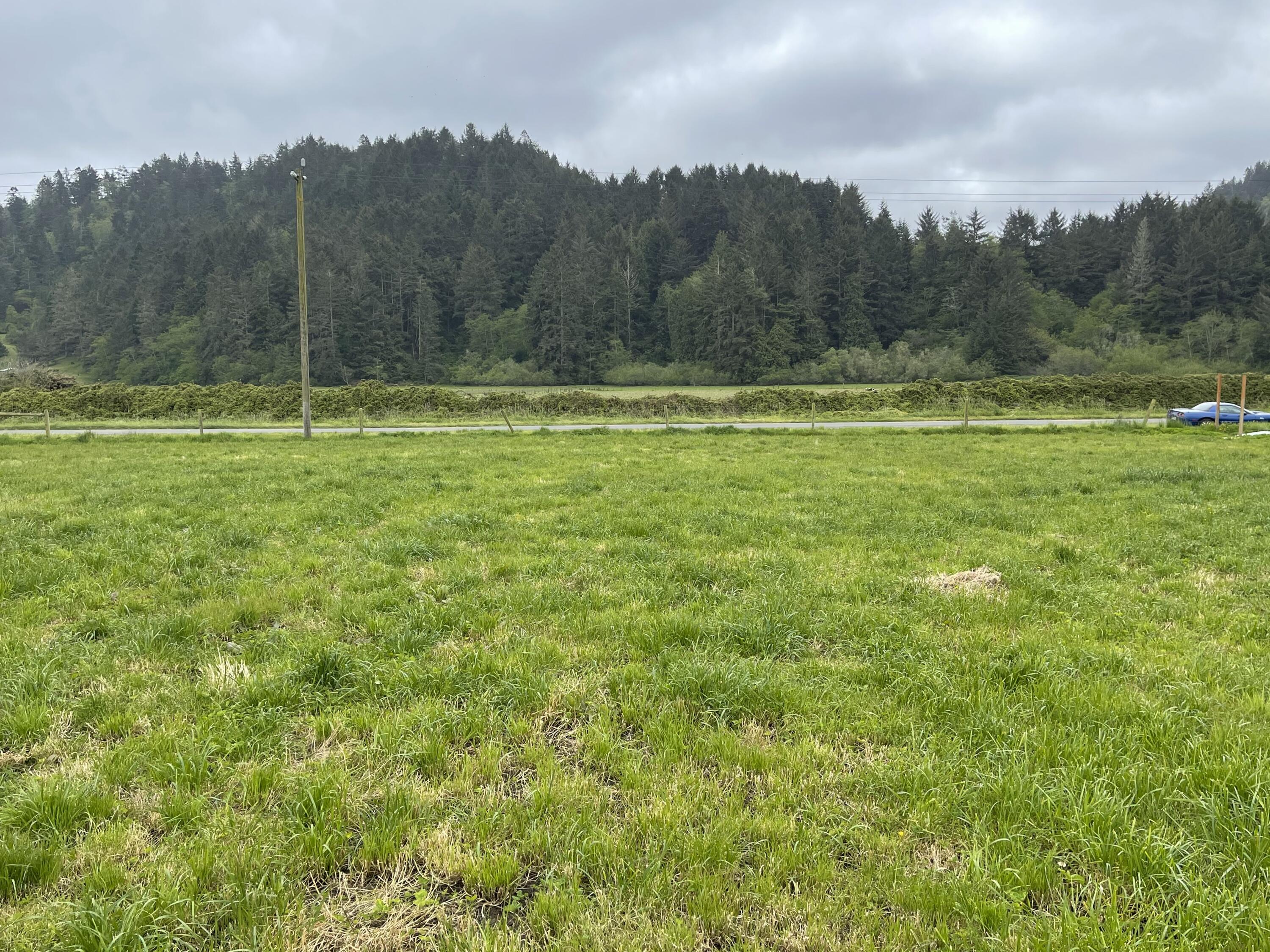 1561 Grizzly Bluff Road Ferndale, CA 95536 - Photo 5 of 7