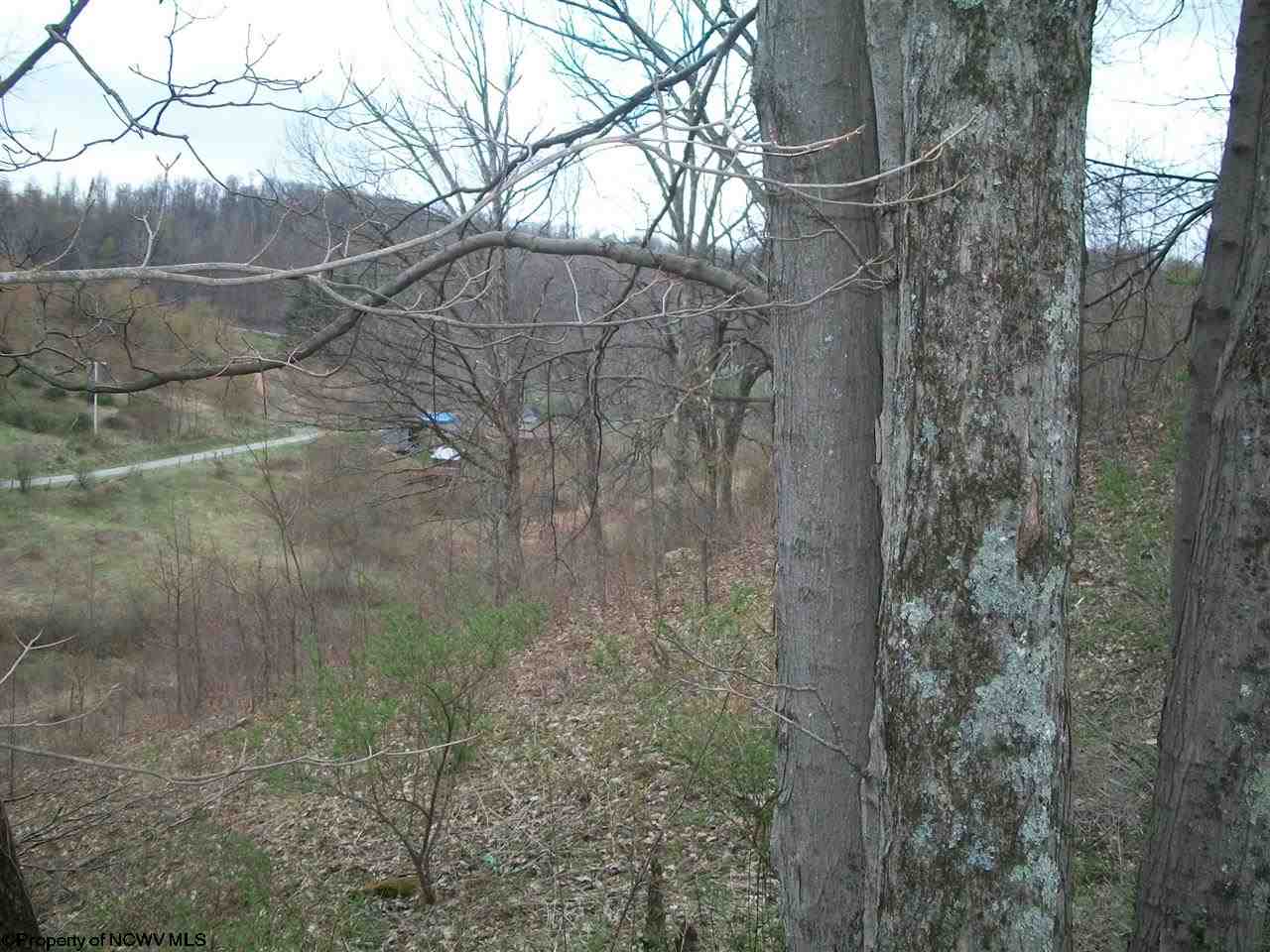 Sand Run Road Philippi, WV 26416 - Photo 3 of 11 Gallery Image 3