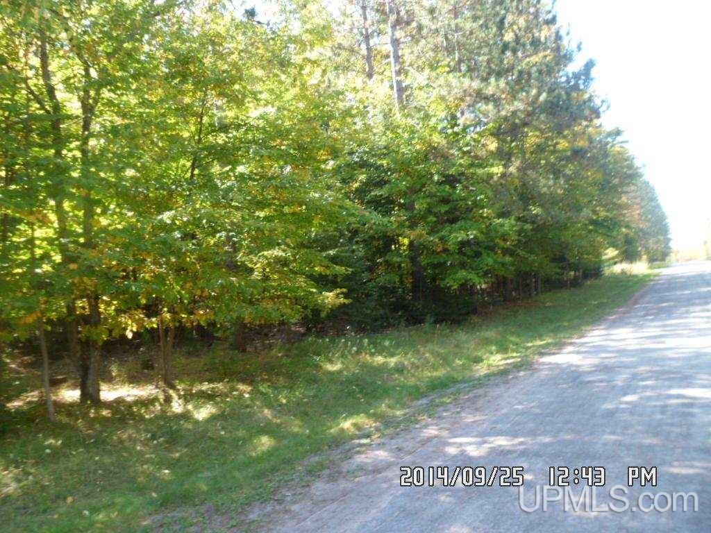 Tbd North Tbd N 75th Road Gladstone, MI 49837 - Photo 6 of 10