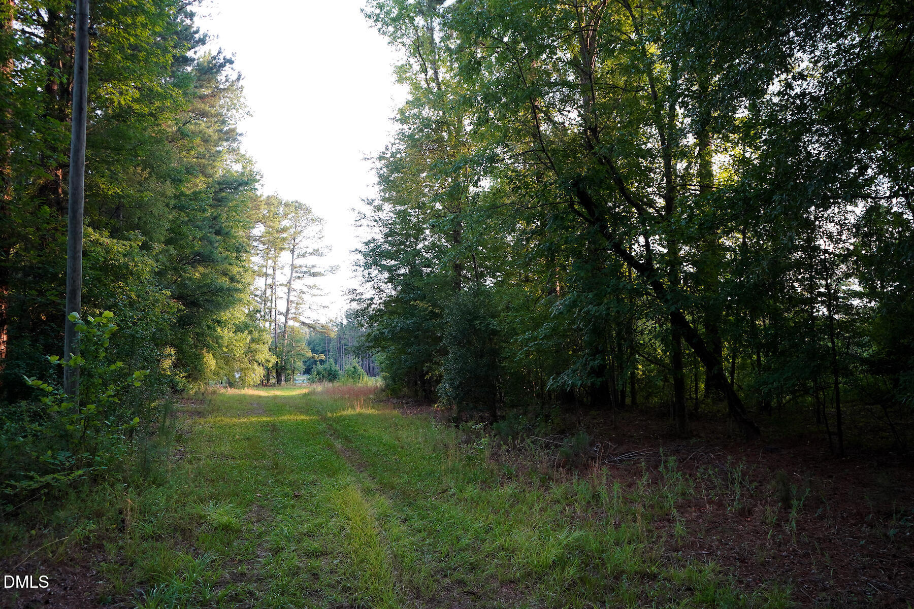 19.2-acres Bunnlevel Erwin Road Erwin, NC 28339 - Photo 10 of 34 10 Paras 19.3 Acres Bunnlevel Erwin Rd