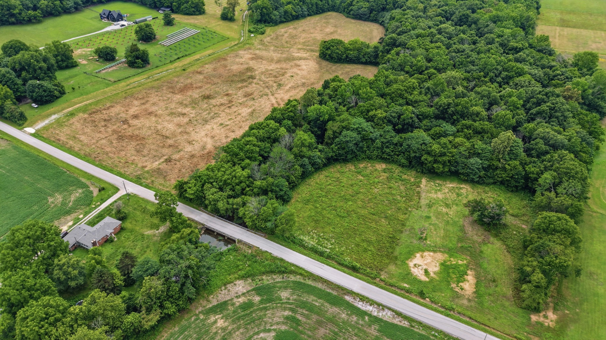 0 Hickory Grove Road Morrison, TN 37357 - Photo 4 of 15