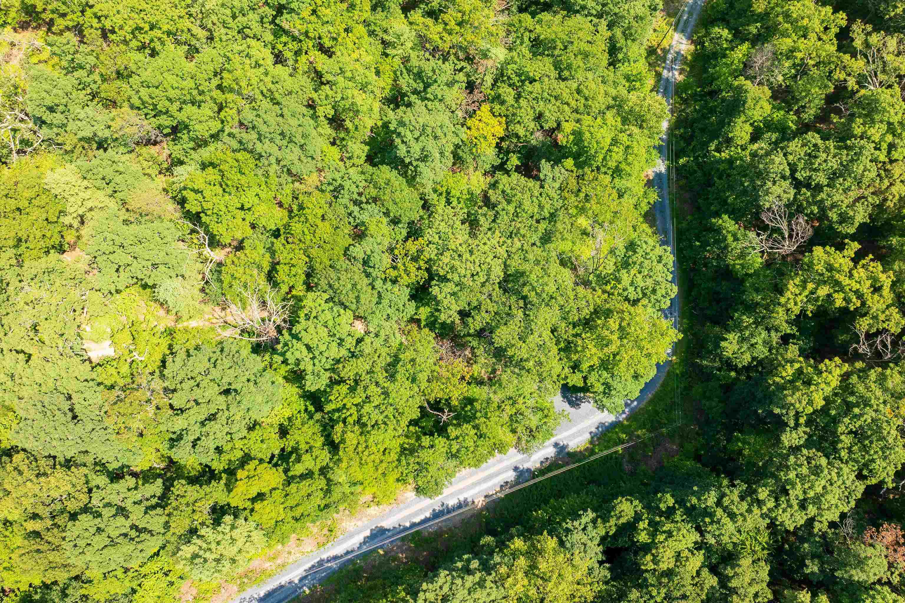 Tbd Shale Road Shenandoah, VA 22849 - Photo 14 of 19