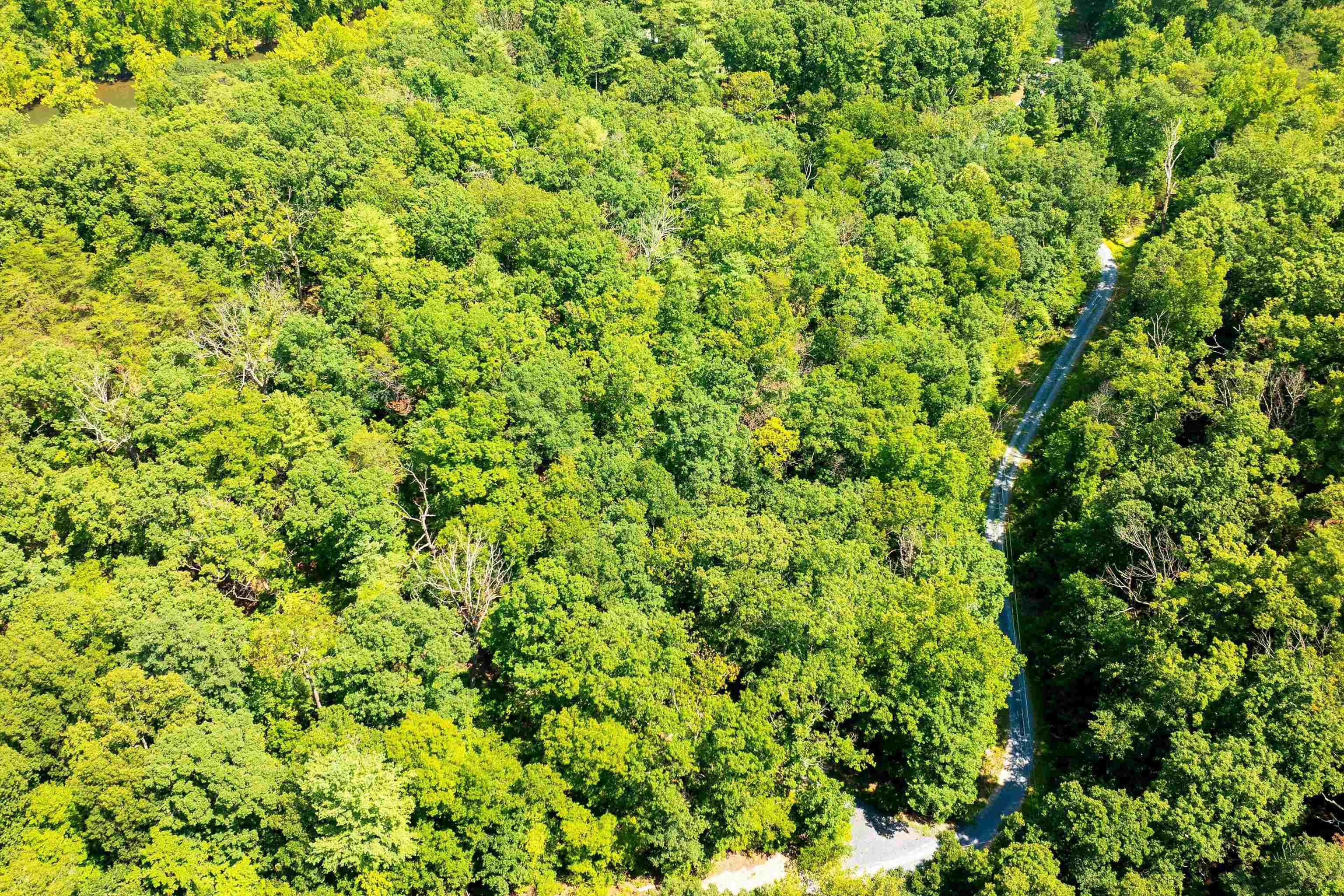 Tbd Shale Road Shenandoah, VA 22849 - Photo 15 of 19 a view of a lush green field