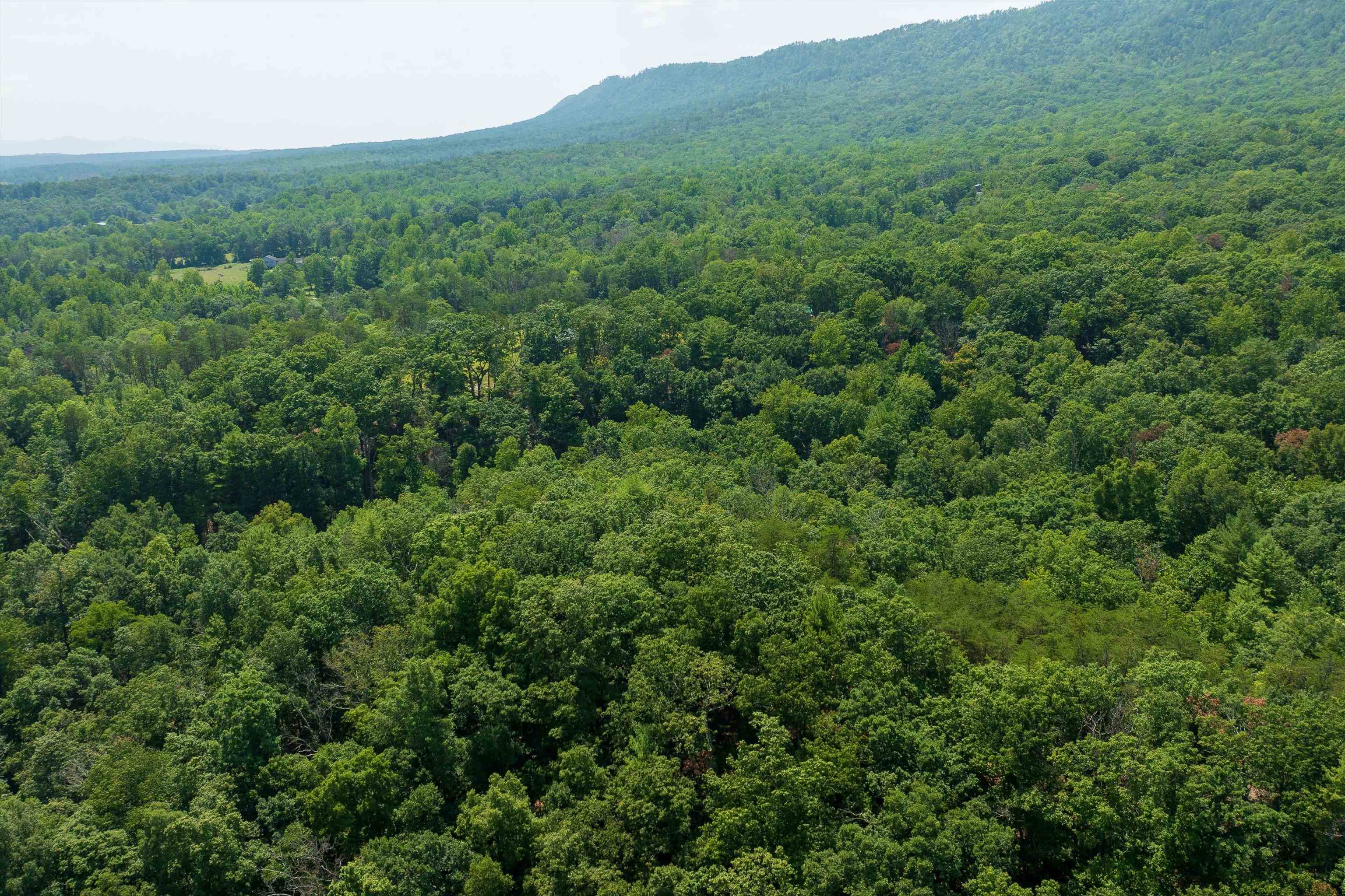 Tbd Shale Road Shenandoah, VA 22849 - Photo 19 of 19 a view of a lush green forest with trees and some houses