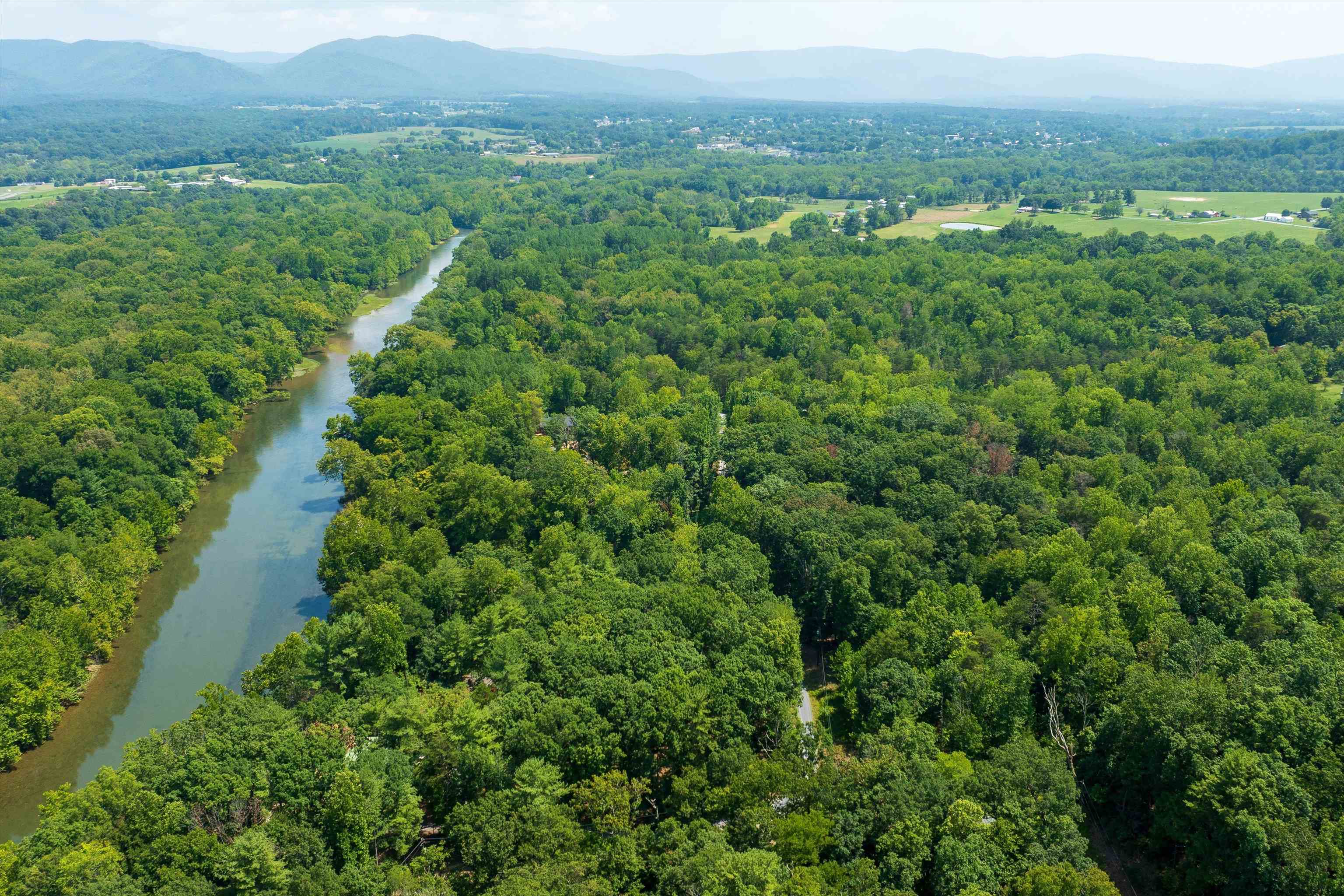 Tbd Shale Road Shenandoah, VA 22849 - Photo 2 of 19 a view of a lush green forest with trees in the background