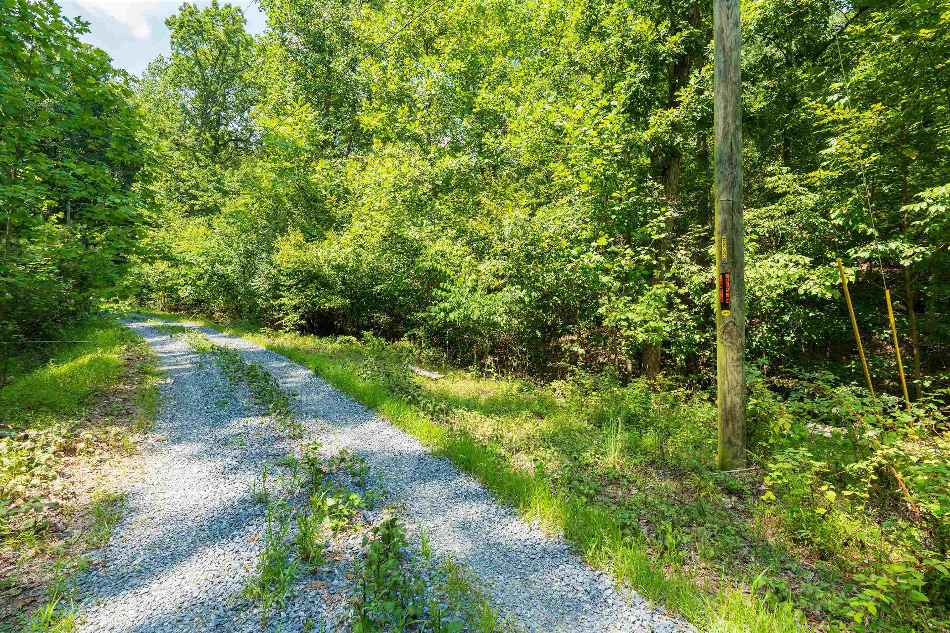 Tbd Shale Road Shenandoah, VA 22849 - Photo 4 of 19 a view of a lake with a yard