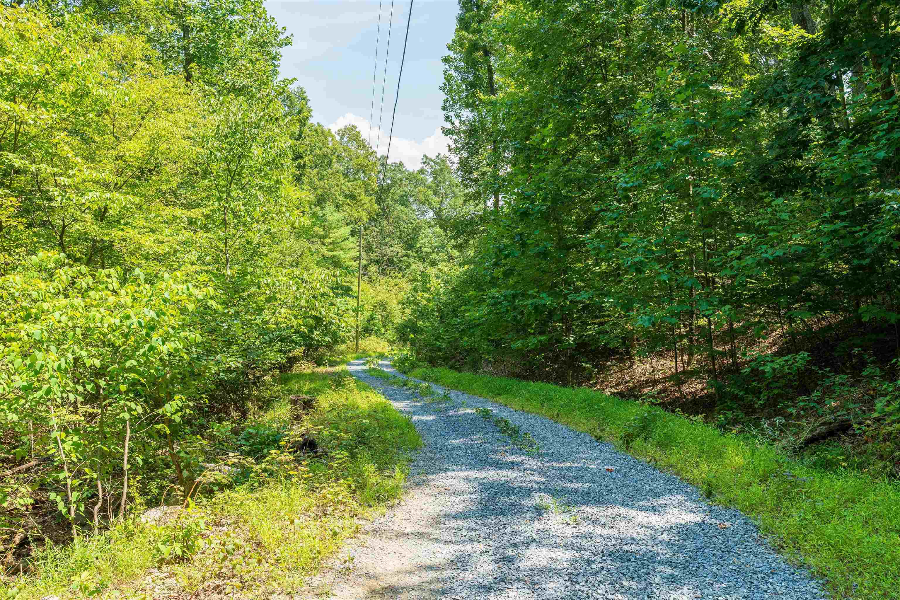 Tbd Shale Road Shenandoah, VA 22849 - Photo 5 of 19 a backyard of a house with lots of green space