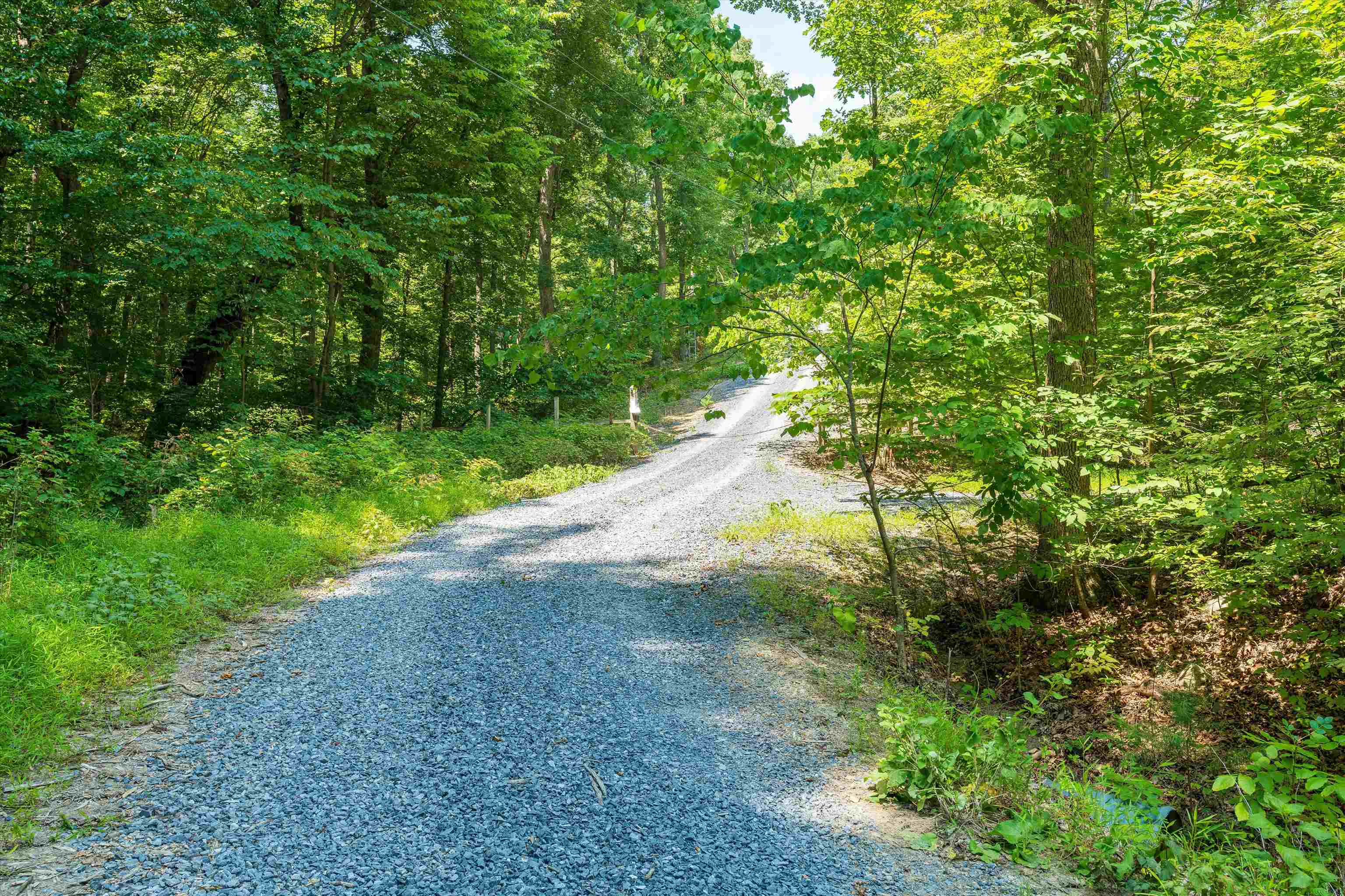 Tbd Shale Road Shenandoah, VA 22849 - Photo 6 of 19 a view of a yard with a tree