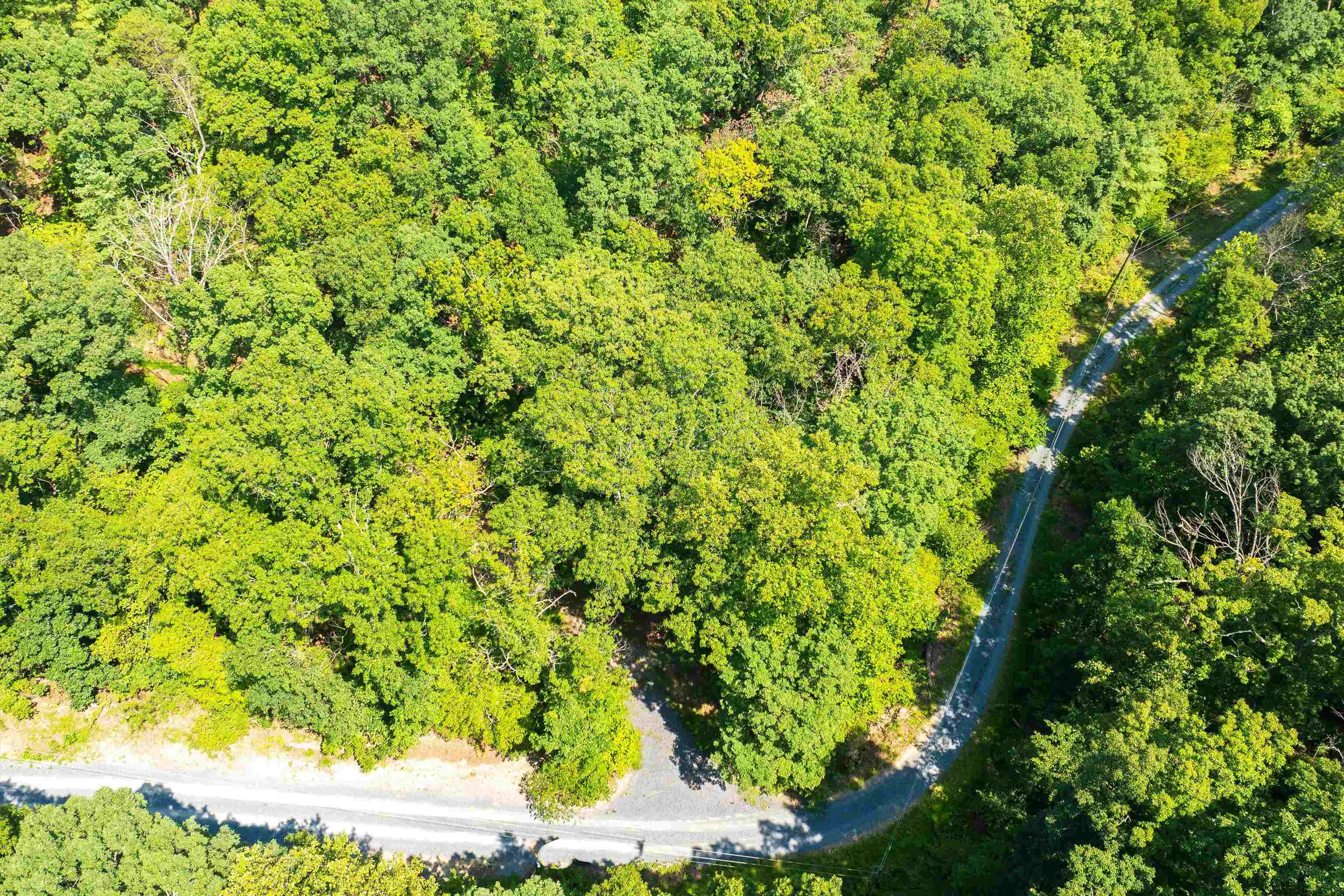 Tbd Shale Road Shenandoah, VA 22849 - Photo 7 of 19 a view of a yard