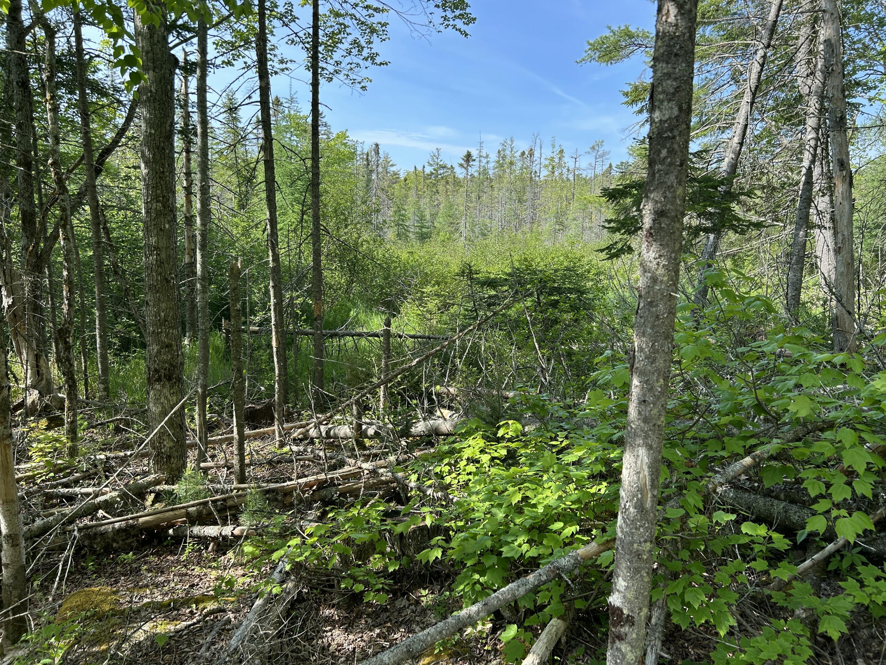 M5-l13 Clark Road Prospect, ME 04981 - Photo 19 of 33 IMG_8807