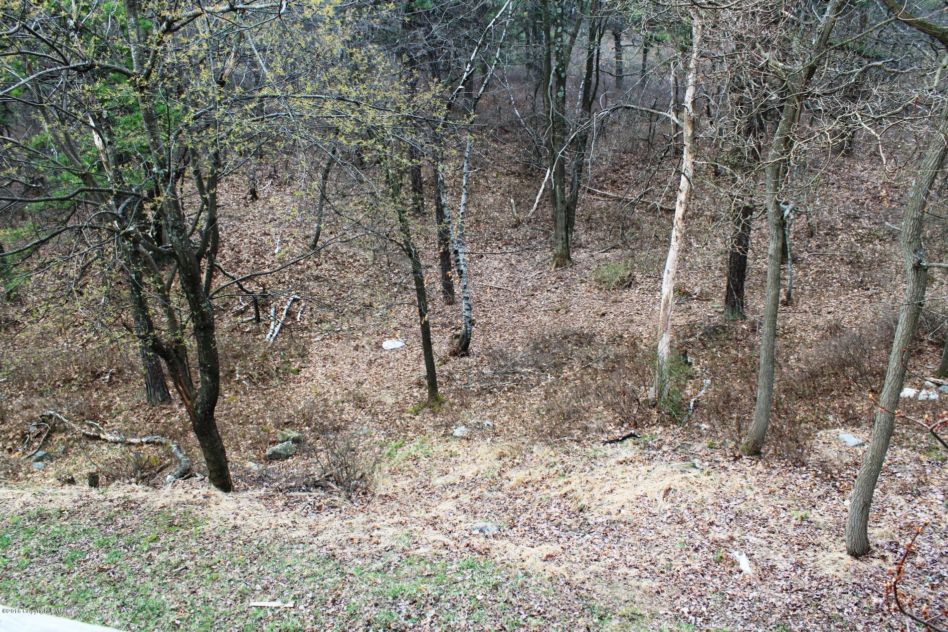 1421 Clover Road Long Pond, PA 18334 - Photo 24 of 26 a view of a forest with trees in the background